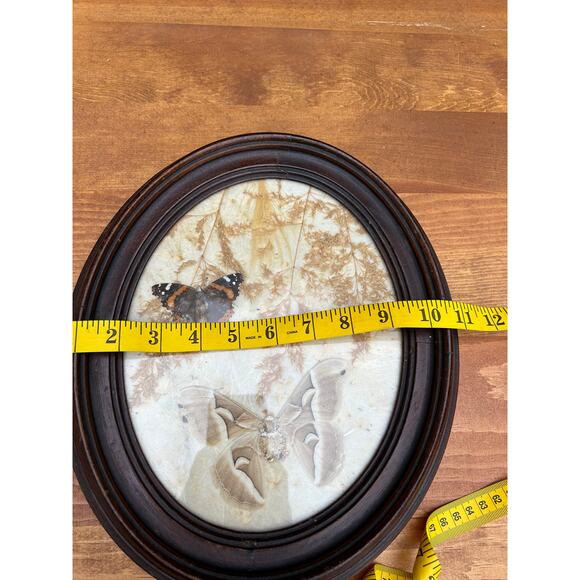 Vintage pressed butterfly and flower simple oval wood frame bubble glass - Picture 14 of 16